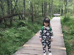 -峡谷浮石林景区