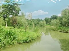 -梁鸿国家湿地公园