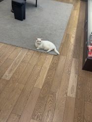 -乐绅男士高端假发定制