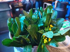 -大头椰·椰子鸡火锅(南宁万象城店)
