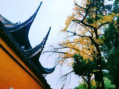 -西园戒幢律寺