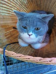 -青木造型HAIR·あおき髪を刈る潮人店