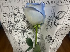-FEI FEI FLOWER鲜花店·气球派对·宝宝宴布置(虹口德必运动Loft店)