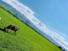 -新疆那拉提国家旅游度假区