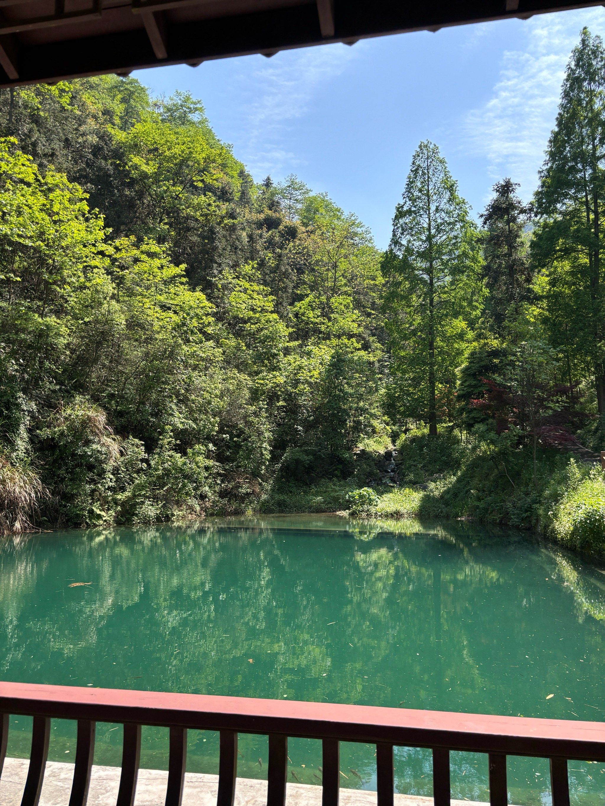 绿水青山就是金山银山