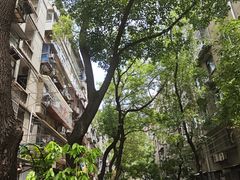 -胖子水煮(铁路三村无任何分店)