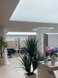 点击看大图 -DX HAIR SALON·发现未知美发沙龙