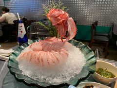 鲜活东星斑-金龙·打边炉(南京西路店)