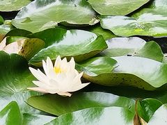 -杭州植物园