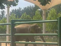 -秦皇岛野生动物园