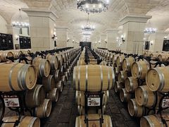 -北京张裕爱斐堡酒庄