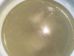 -老乡鸡(新邻天地店)