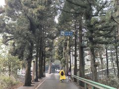 -南岳衡山风景名胜区