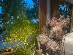 -馬蘭花開(车站大道店)