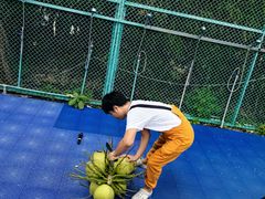 -三亚亚龙湾天域度假酒店
