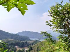 -田心森林公园