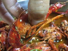 -520香辣小龙虾(美食街总店)