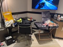 -新加坡万豪董厦酒店