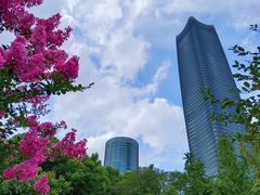 -上海港国际客运中心