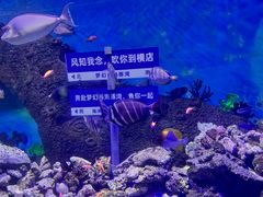 -横店影视城梦幻谷园区