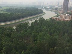 -深圳富临大酒店