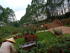 -三圣花乡旅游区