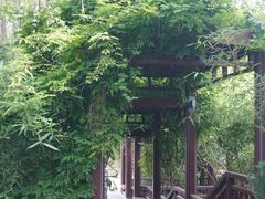 -北坞公园