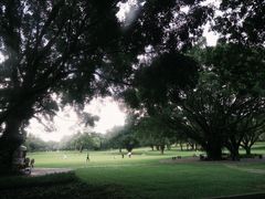 -东莞植物园