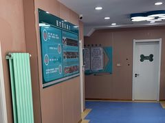 -天使宠物医院·犬猫分诊(彩虹店)