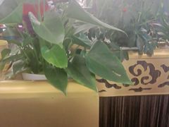 -玉林烤鸭店(垡头店)