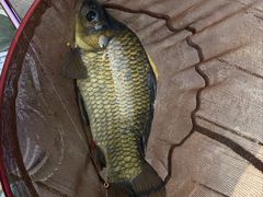 -酷鱼垂钓CLUB(朝阳区博大路店 )