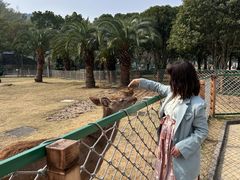 -达蓬山星梦乐园