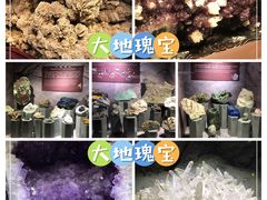 -正佳自然科学博物馆