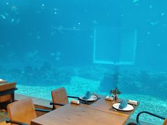 -涛·海底餐厅·美人鱼·自助餐·海底隧道(三亚海棠湾洲际度假酒店)