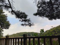 -童牛岭风景区