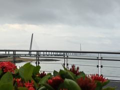 -深圳湾公园(南山区)
