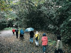 -夏霖九天银瀑风景区