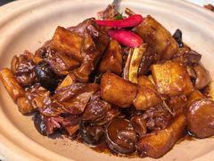 -三强鸽子(中原路店)