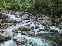 -石台牯牛降景区