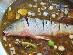-姥家大锅台水库渔家