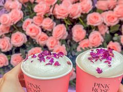 -鲜芒多·杨枝甘露(摩尔城A座10楼店)