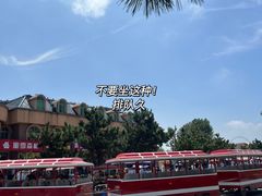 -日照海滨国家森林公园