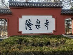 -百脉泉景区