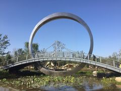 -武清南湖绿博园