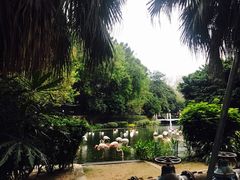 -九龙公园