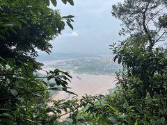 -铁山坪森林公园