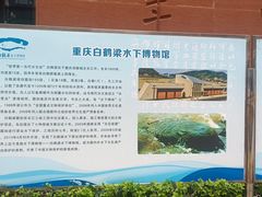 -白鹤梁水下博物馆