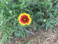 -济南国际园博园