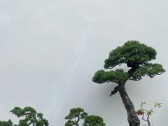 -凤凰寺