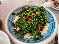 -巴依老爷新疆美食(魏公村店)
